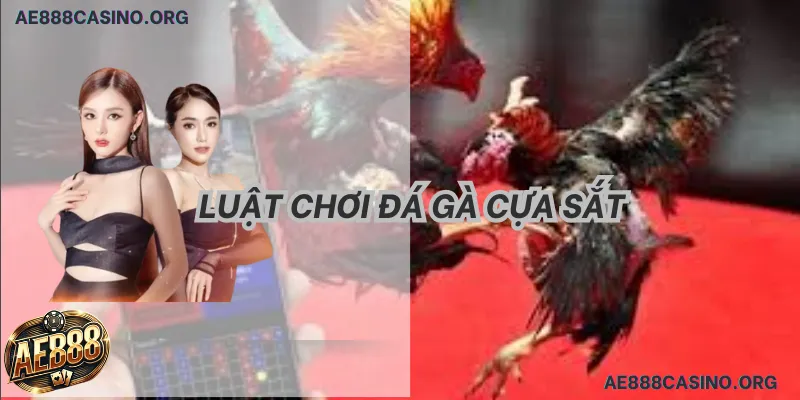 Luật Chơi Đá Gà Cựa Sắt: Tuyệt Đỉnh Sát Phạt & 5 Mẹo Thắng Tiền Tỷ 2026