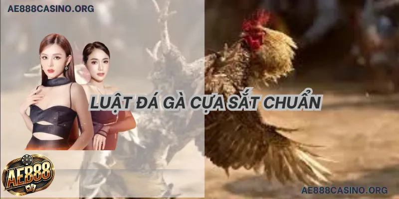 Kiến thức từ Blog AE888